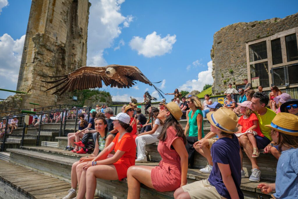 Spectacle_des_Geants_du_ciel-Agence_Zebrelle_Bastien_SAUVE-20741-1200px